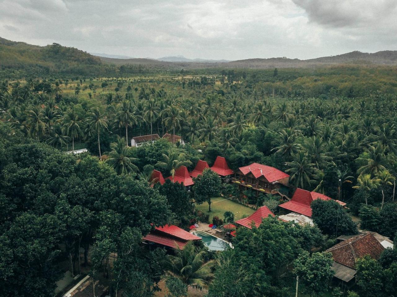Mojosurf Camp Red Island Hotel Pasanggaran Exterior photo